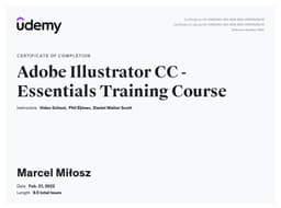 Certificate 11
